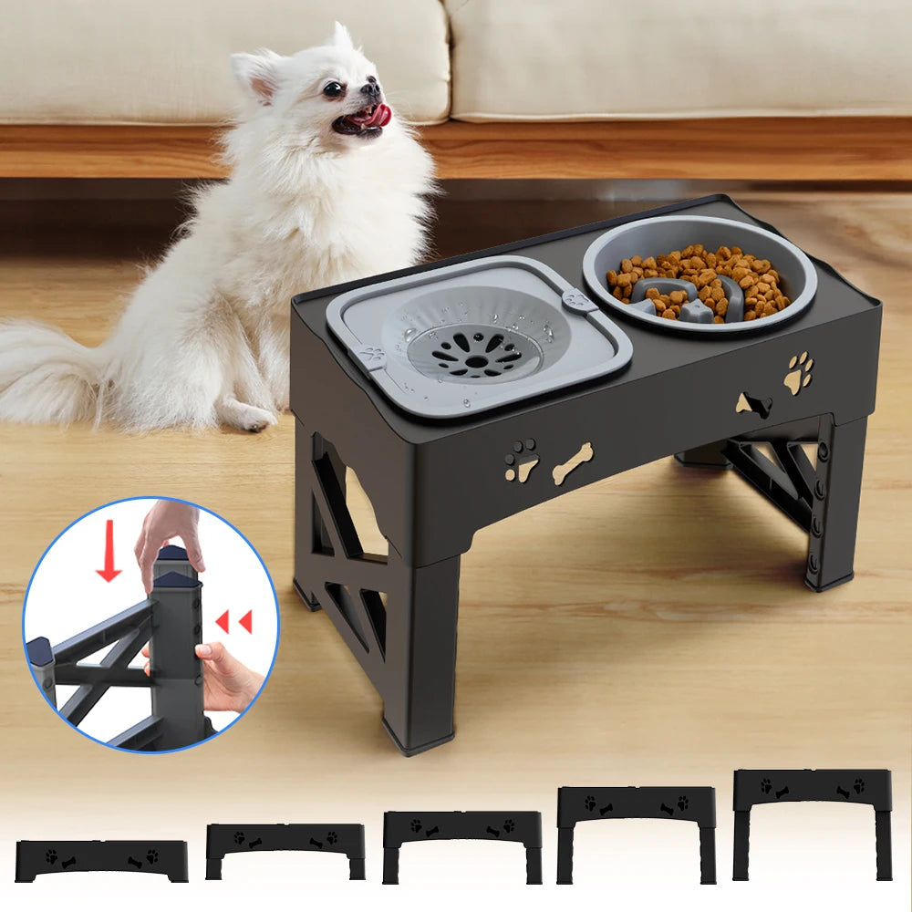 3 In 1 Pet Feeder