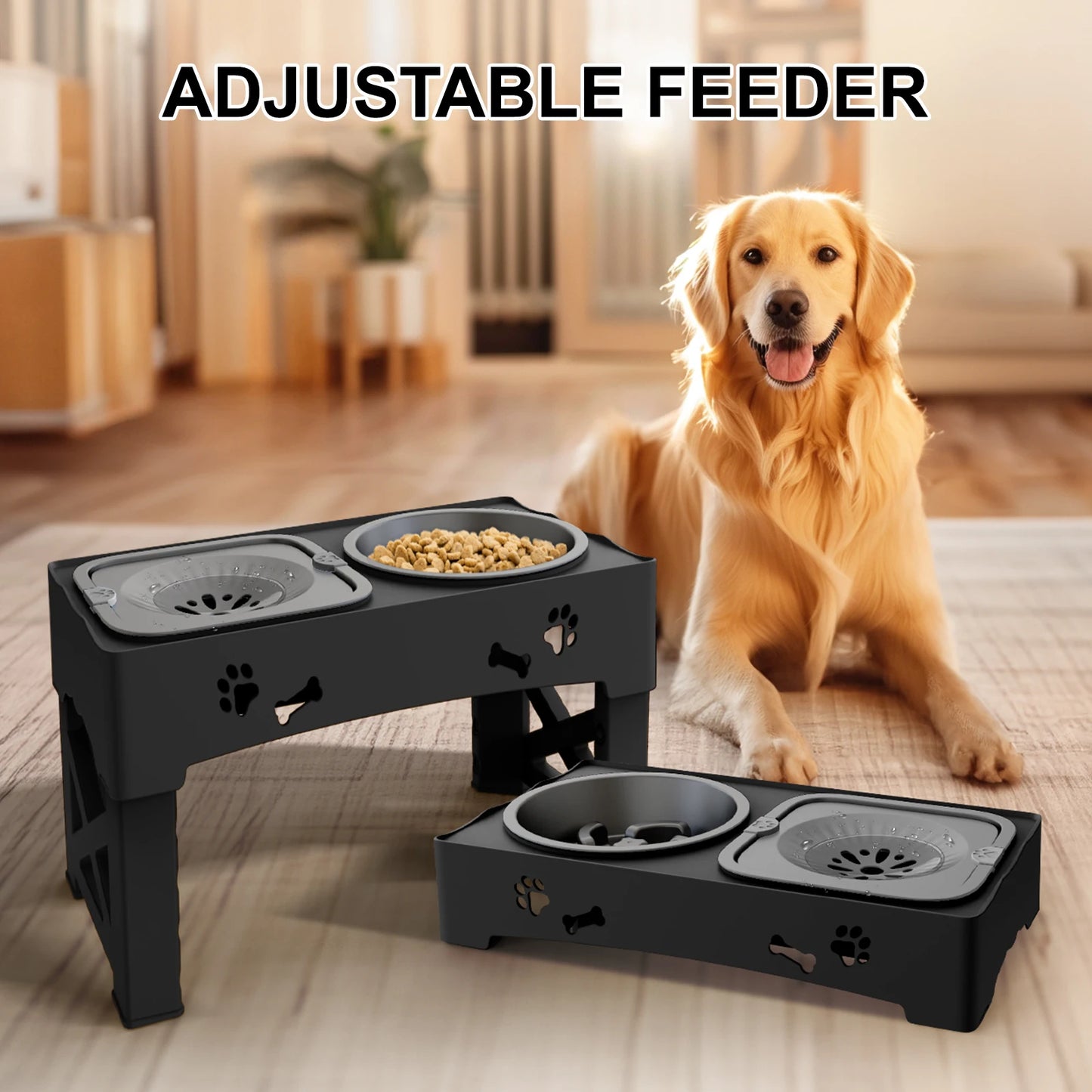 3 In 1 Pet Feeder