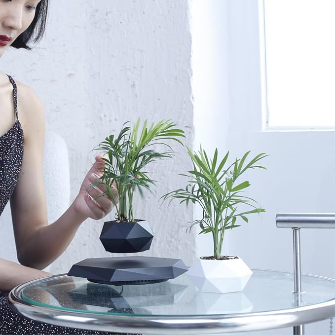 Levitating Bonsai Pot